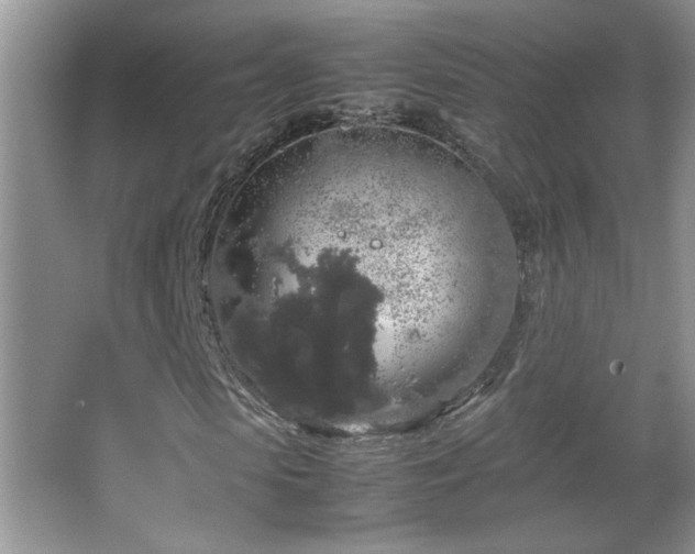 X0000067870913200604131232