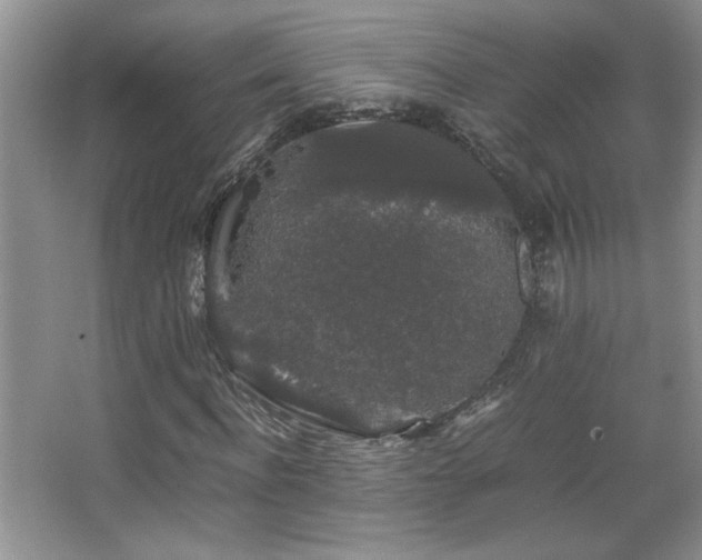 X0000067870916200604131232