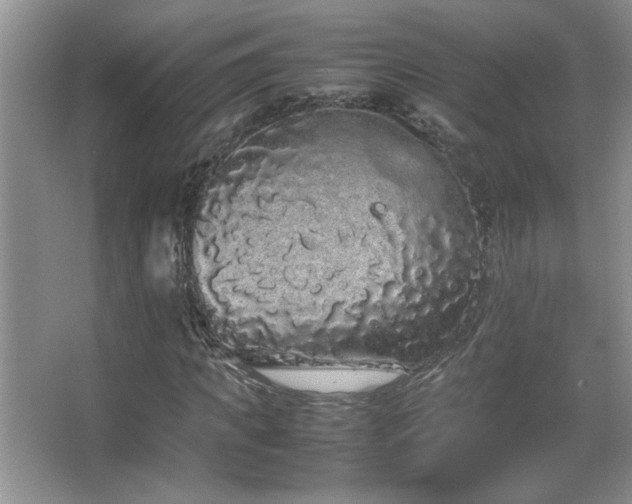 X0000067870917200604131232