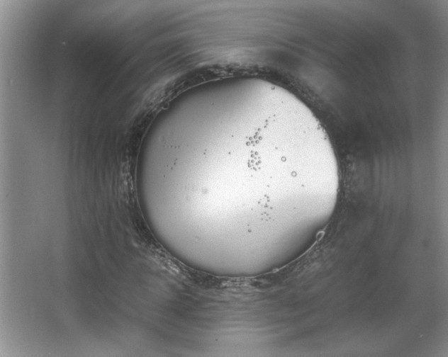 X0000067870918200604131232