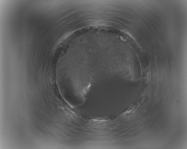 X0000067870919200604131232