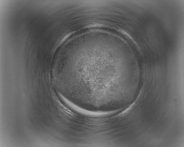 X0000067870921200604131232