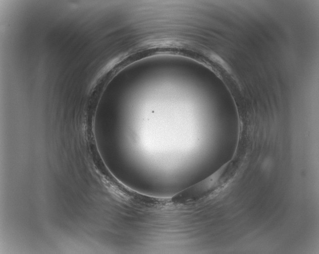 X0000067870922200604131232