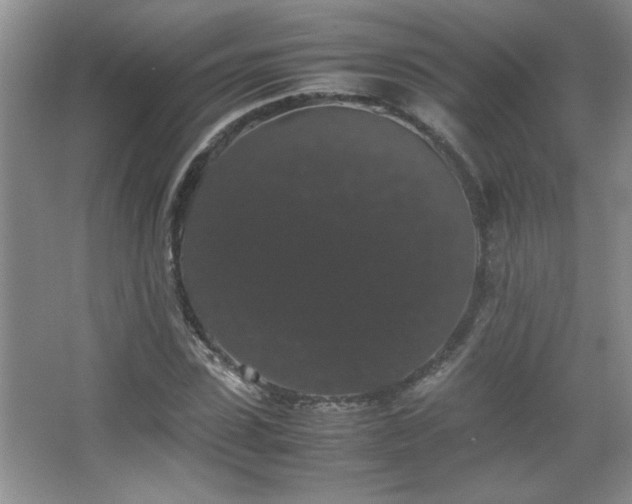 X0000067870923200604131232