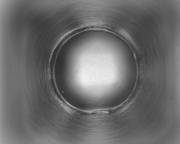 X0000067870924200604131232