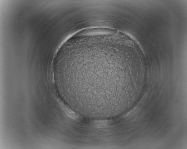 X0000067870925200604131232