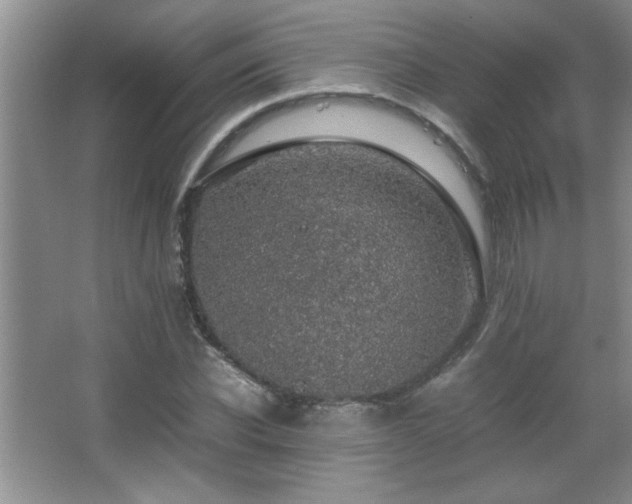 X0000067870926200604131232