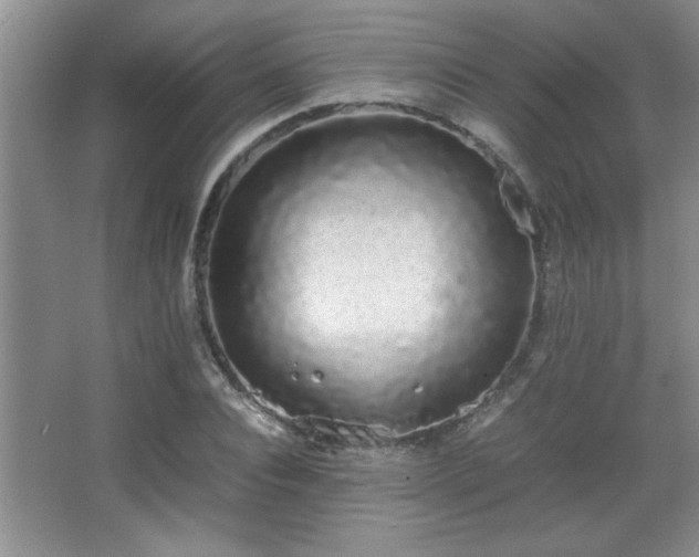 X0000067870928200604131232