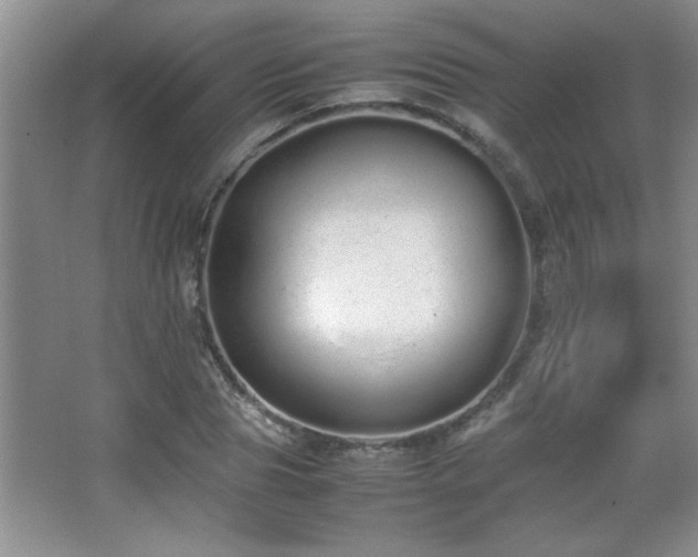 X0000067870929200604131232