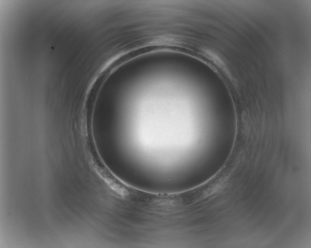 X0000067870931200604131232