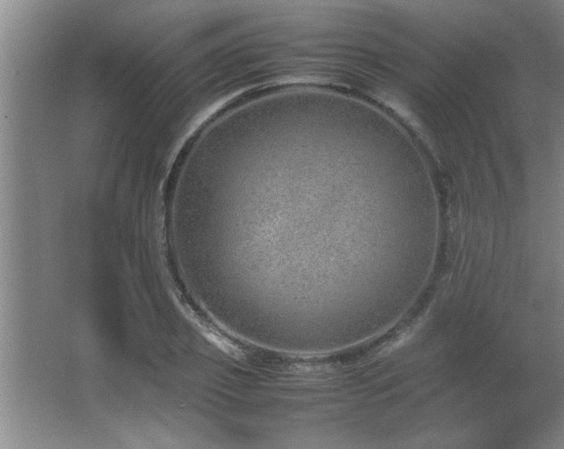 X0000067870933200604131232