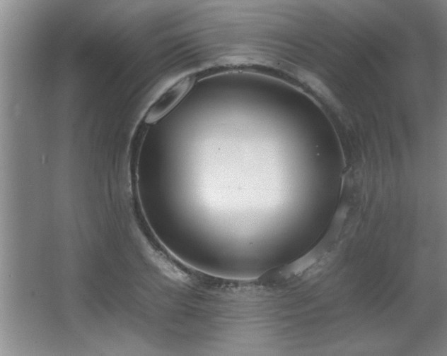 X0000067870934200604131232