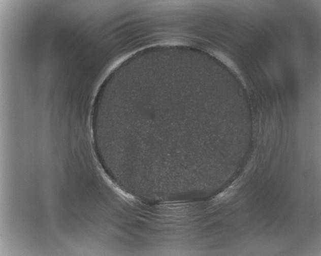 X0000067870935200604131232