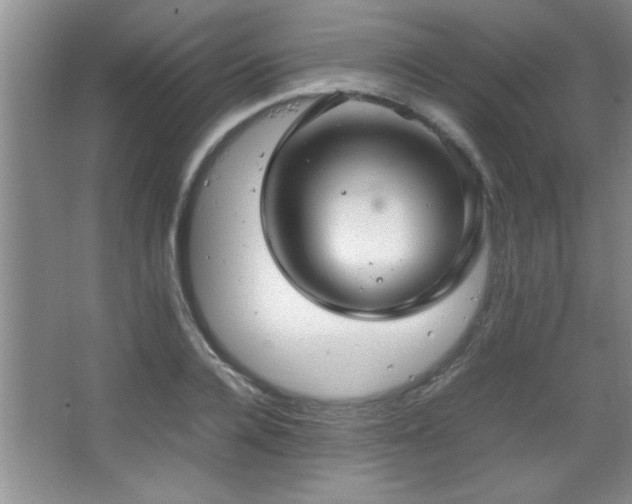 X0000067870936200604131232