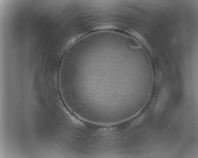 X0000067870937200604131232