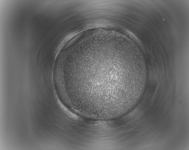 X0000067870938200604131232