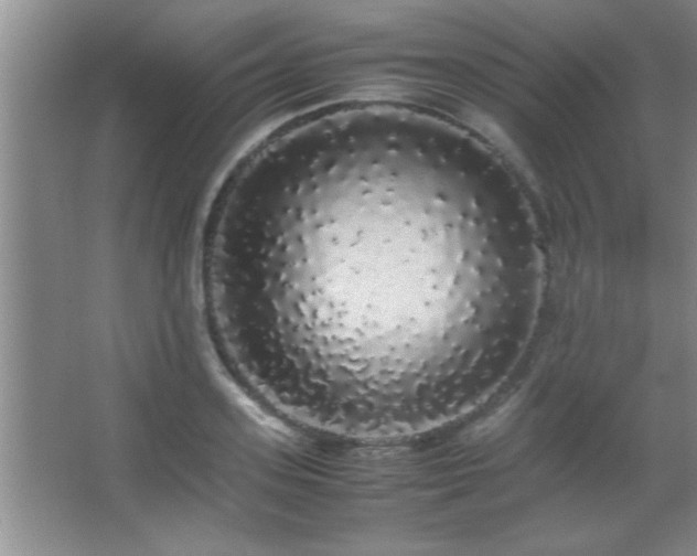 X0000067870939200604131232