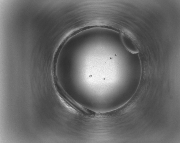 X0000067870942200604131232