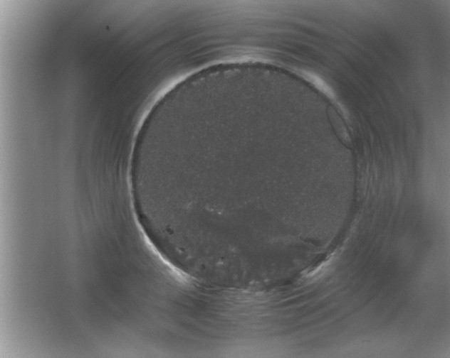 X0000067870943200604131232