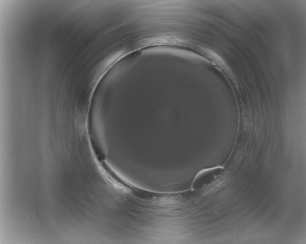 X0000067870946200604131232