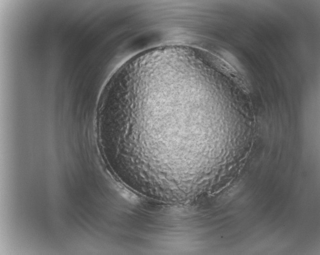 X0000067870948200604131232