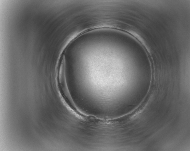 X0000067870949200604131232