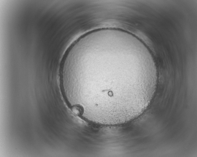 X0000067870950200604131232