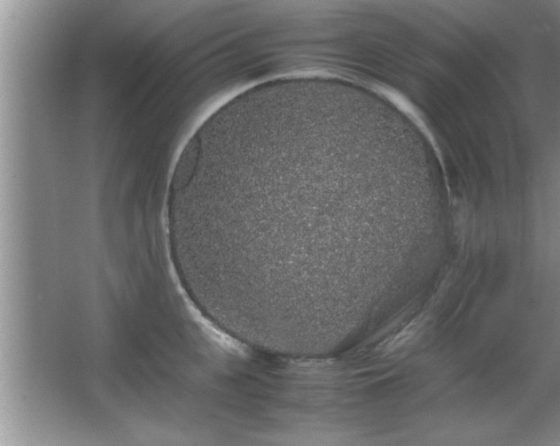 X0000067870951200604131232