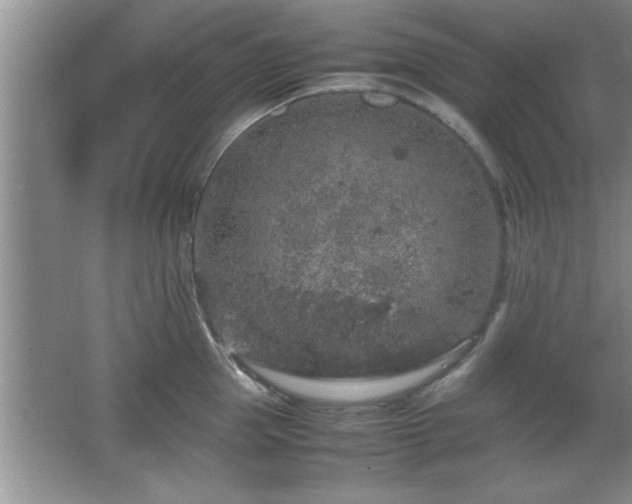 X0000067870953200604131233