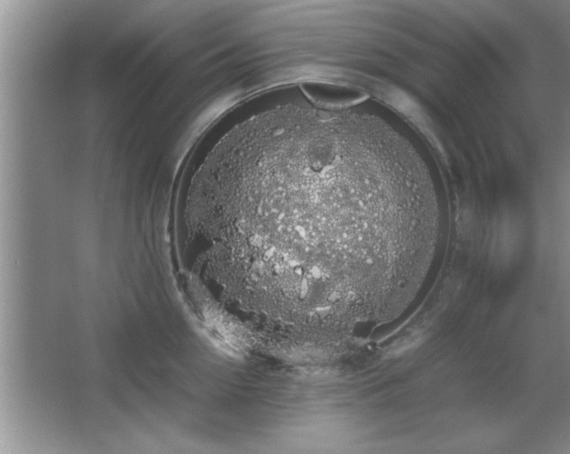 X0000067870954200604131233