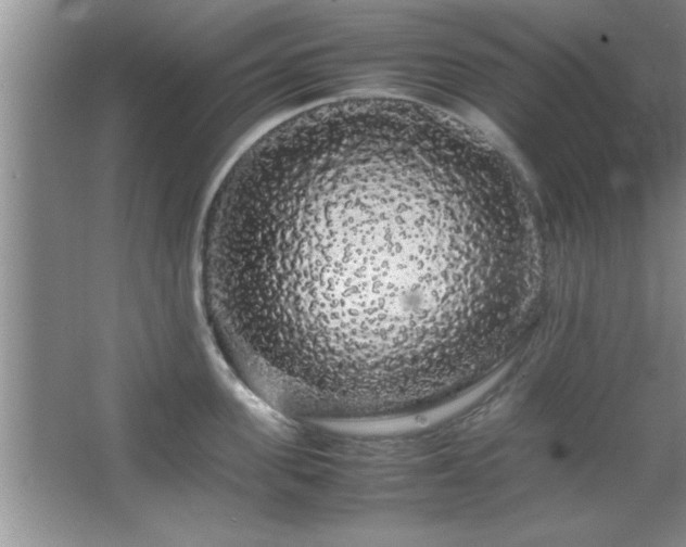 X0000067870955200604131233