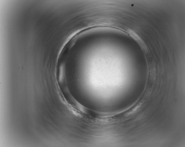 X0000067870956200604131233