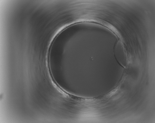 X0000067870958200604131233