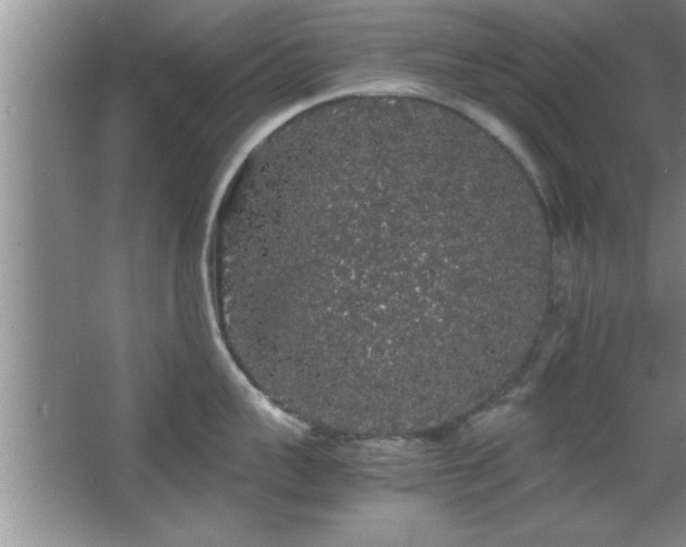 X0000067870959200604131233