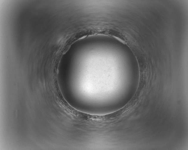 X0000067870961200604131232