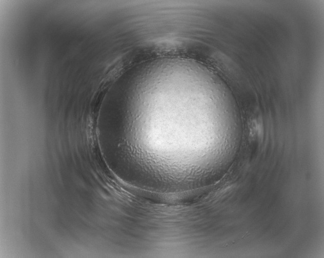 X0000067870964200604131232