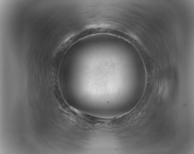 X0000067870967200604131232