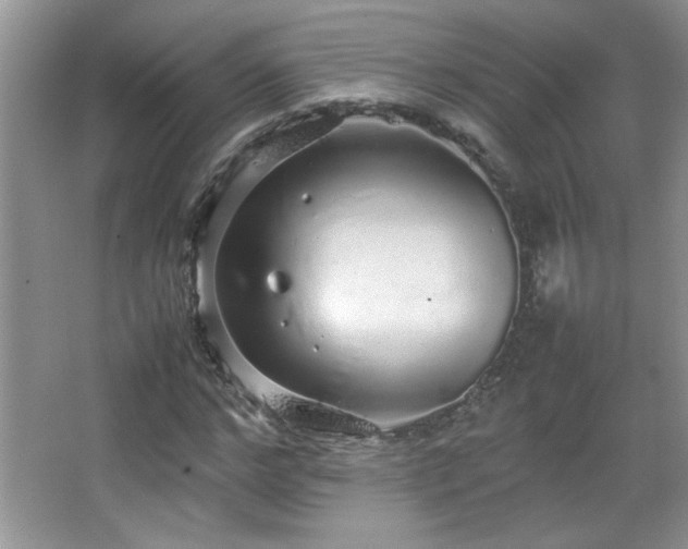 X0000067870968200604131232