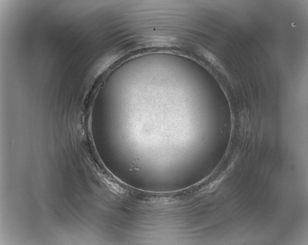 X0000067870970200604131232