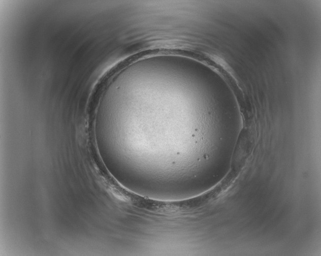 X0000067870971200604131232