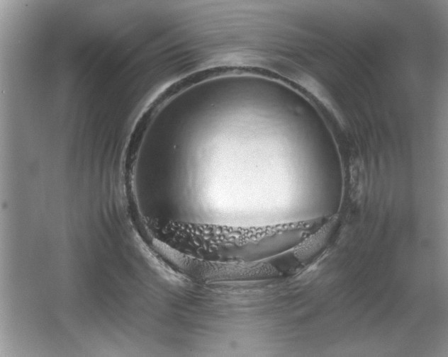 X0000067870972200604131232