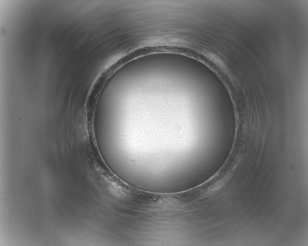 X0000067870974200604131232