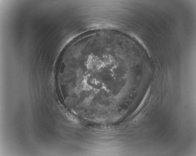 X0000067870975200604131232