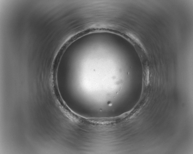 X0000067870976200604131232