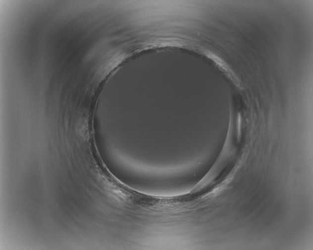 X0000067870977200604131232