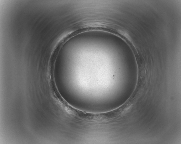 X0000067870979200604131232