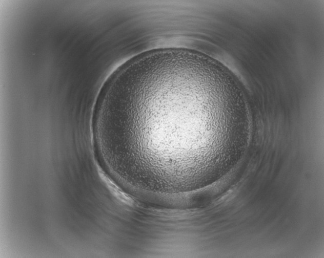 X0000067870980200604131232