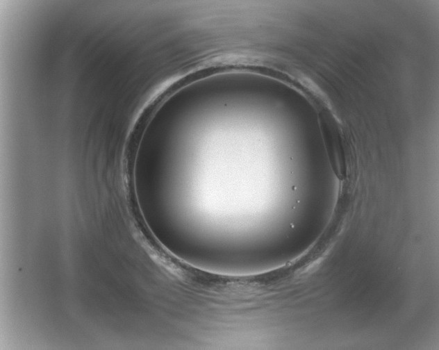 X0000067870981200604131231