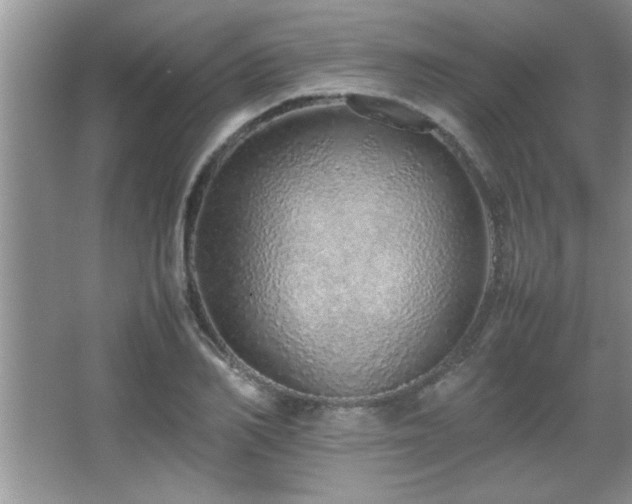 X0000067870982200604131231