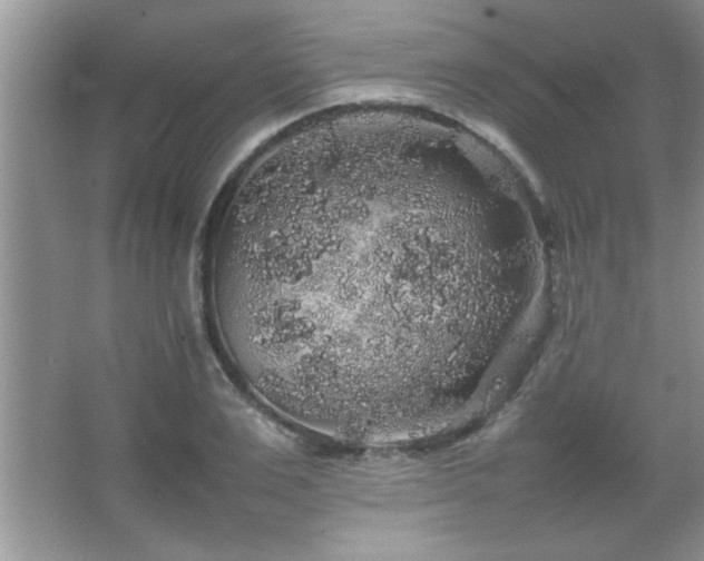 X0000067870983200604131231